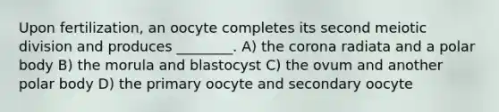 Upon fertilization, an oocyte completes its second meiotic division and produces ________. A) <a href='https://www.questionai.com/knowledge/kUSHhCSdkt-the-corona' class='anchor-knowledge'>the corona</a> radiata and a polar body B) the morula and blastocyst C) the ovum and another polar body D) the primary oocyte and secondary oocyte