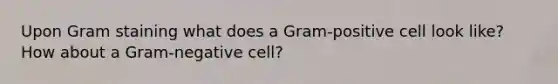 Upon Gram staining what does a Gram-positive cell look like? How about a Gram-negative cell?