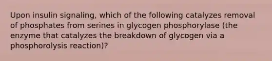 Upon insulin signaling, which of the following catalyzes removal of phosphates from serines in glycogen phosphorylase (the enzyme that catalyzes the breakdown of glycogen via a phosphorolysis reaction)?