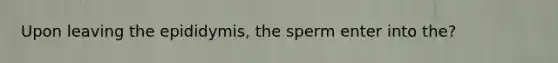 Upon leaving the epididymis, the sperm enter into the?