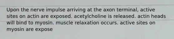 Upon the nerve impulse arriving at the axon terminal, active sites on actin are exposed. acetylcholine is released. actin heads will bind to myosin. muscle relaxation occurs. active sites on myosin are expose