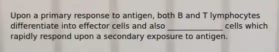 Upon a primary response to antigen, both B and T lymphocytes differentiate into effector cells and also ______________ cells which rapidly respond upon a secondary exposure to antigen.