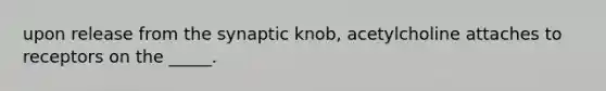 upon release from the synaptic knob, acetylcholine attaches to receptors on the _____.