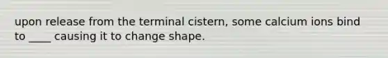 upon release from the terminal cistern, some calcium ions bind to ____ causing it to change shape.