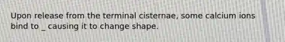 Upon release from the terminal cisternae, some calcium ions bind to _ causing it to change shape.