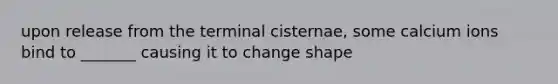 upon release from the terminal cisternae, some calcium ions bind to _______ causing it to change shape