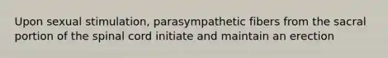 Upon sexual stimulation, parasympathetic fibers from the sacral portion of <a href='https://www.questionai.com/knowledge/kkAfzcJHuZ-the-spinal-cord' class='anchor-knowledge'>the spinal cord</a> initiate and maintain an erection