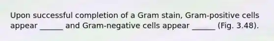 Upon successful completion of a Gram stain, Gram-positive cells appear ______ and Gram-negative cells appear ______ (Fig. 3.48).