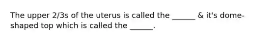 The upper 2/3s of the uterus is called the ______ & it's dome-shaped top which is called the ______.