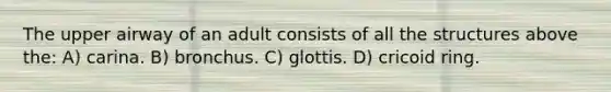 The upper airway of an adult consists of all the structures above the: A) carina. B) bronchus. C) glottis. D) cricoid ring.