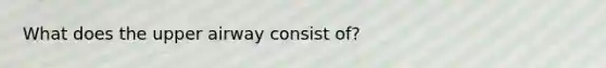 What does the upper airway consist of?