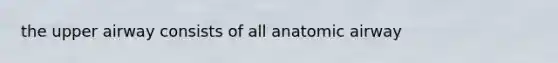 the upper airway consists of all anatomic airway