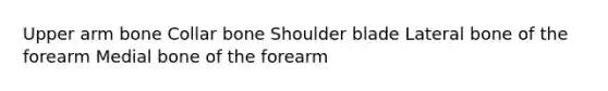 Upper arm bone Collar bone Shoulder blade Lateral bone of the forearm Medial bone of the forearm