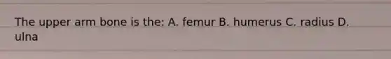 The upper arm bone is the: A. femur B. humerus C. radius D. ulna