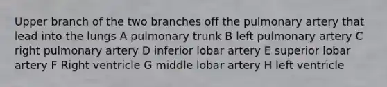 Upper branch of the two branches off the pulmonary artery that lead into the lungs A pulmonary trunk B left pulmonary artery C right pulmonary artery D inferior lobar artery E superior lobar artery F Right ventricle G middle lobar artery H left ventricle