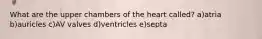 What are the upper chambers of the heart called? a)atria b)auricles c)AV valves d)ventricles e)septa