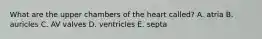 What are the upper chambers of the heart called? A. atria B. auricles C. AV valves D. ventricles E. septa