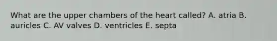 What are the upper chambers of <a href='https://www.questionai.com/knowledge/kya8ocqc6o-the-heart' class='anchor-knowledge'>the heart</a> called? A. atria B. auricles C. AV valves D. ventricles E. septa