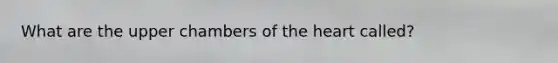 What are the upper chambers of the heart called?