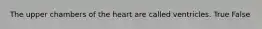 The upper chambers of the heart are called ventricles. True False