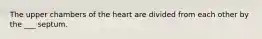 The upper chambers of the heart are divided from each other by the ___ septum.