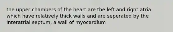 the upper chambers of the heart are the left and right atria which have relatively thick walls and are seperated by the interatrial septum, a wall of myocardium