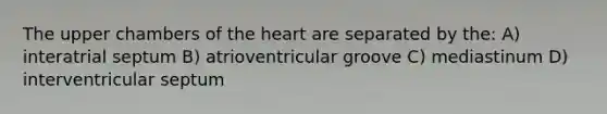 The upper chambers of the heart are separated by the: A) interatrial septum B) atrioventricular groove C) mediastinum D) interventricular septum