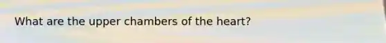 What are the upper chambers of the heart?