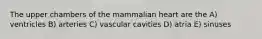 The upper chambers of the mammalian heart are the A) ventricles B) arteries C) vascular cavities D) atria E) sinuses