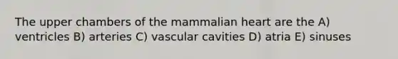 The upper chambers of the mammalian heart are the A) ventricles B) arteries C) vascular cavities D) atria E) sinuses