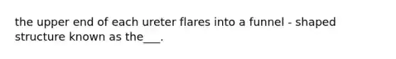 the upper end of each ureter flares into a funnel - shaped structure known as the___.