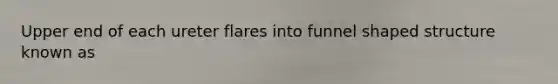 Upper end of each ureter flares into funnel shaped structure known as