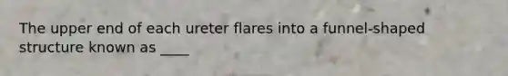 The upper end of each ureter flares into a funnel-shaped structure known as ____