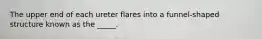 The upper end of each ureter flares into a funnel-shaped structure known as the _____.