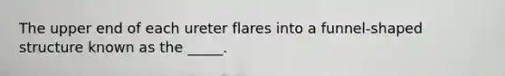 The upper end of each ureter flares into a funnel-shaped structure known as the _____.