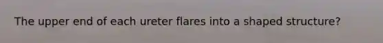 The upper end of each ureter flares into a shaped structure?