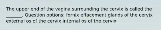 The upper end of the vagina surrounding the cervix is called the _______. Question options: fornix effacement glands of the cervix external os of the cervix internal os of the cervix