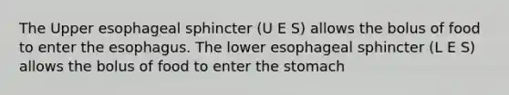 The Upper esophageal sphincter (U E S) allows the bolus of food to enter the esophagus. The lower esophageal sphincter (L E S) allows the bolus of food to enter the stomach