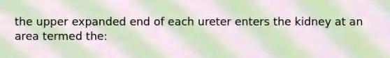 the upper expanded end of each ureter enters the kidney at an area termed the: