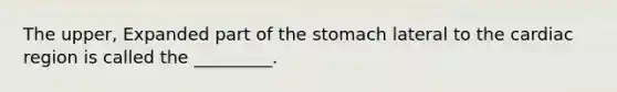 The upper, Expanded part of the stomach lateral to the cardiac region is called the _________.