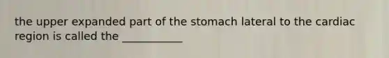 the upper expanded part of the stomach lateral to the cardiac region is called the ___________