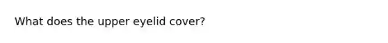 What does the upper eyelid cover?