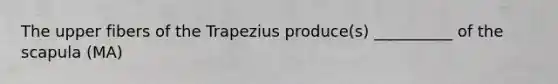 The upper fibers of the Trapezius produce(s) __________ of the scapula (MA)