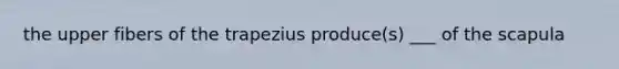 the upper fibers of the trapezius produce(s) ___ of the scapula