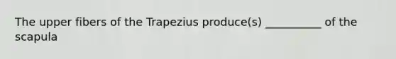 The upper fibers of the Trapezius produce(s) __________ of the scapula