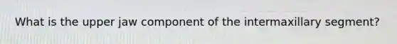 What is the upper jaw component of the intermaxillary segment?