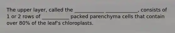 The upper layer, called the ____________ _____________, consists of 1 or 2 rows of ___________ packed parenchyma cells that contain over 80% of the leaf's chloroplasts.