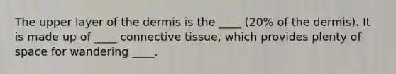 The upper layer of the dermis is the ____ (20% of the dermis). It is made up of ____ connective tissue, which provides plenty of space for wandering ____.