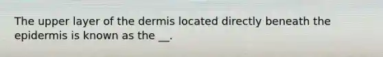The upper layer of the dermis located directly beneath the epidermis is known as the __.