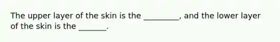 The upper layer of the skin is the _________, and the lower layer of the skin is the _______.